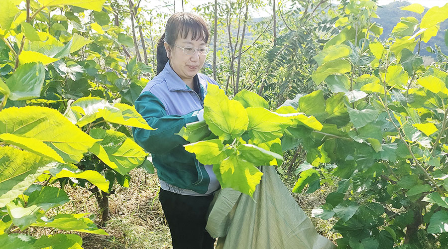 未標題-8.jpg